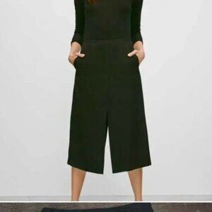 Aritzia Babaton Alton Pencil Skirt